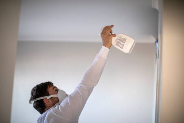 Best Residential Mold Remediation in Big Beaver, PA