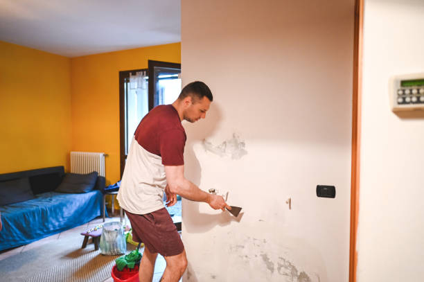 Best Health and Safety Mold Remediation in Big Beaver, PA